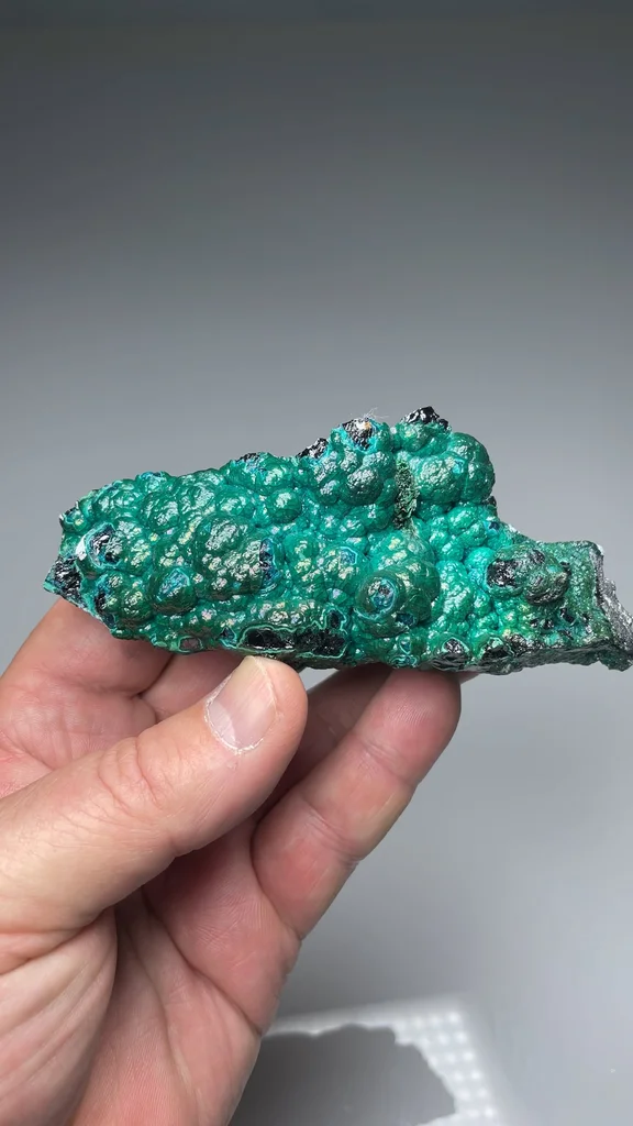 Chrysocolla from L'Etoile du Congo Mine, Lubumbashi, Haut-Katanga, DR Congo - image 2