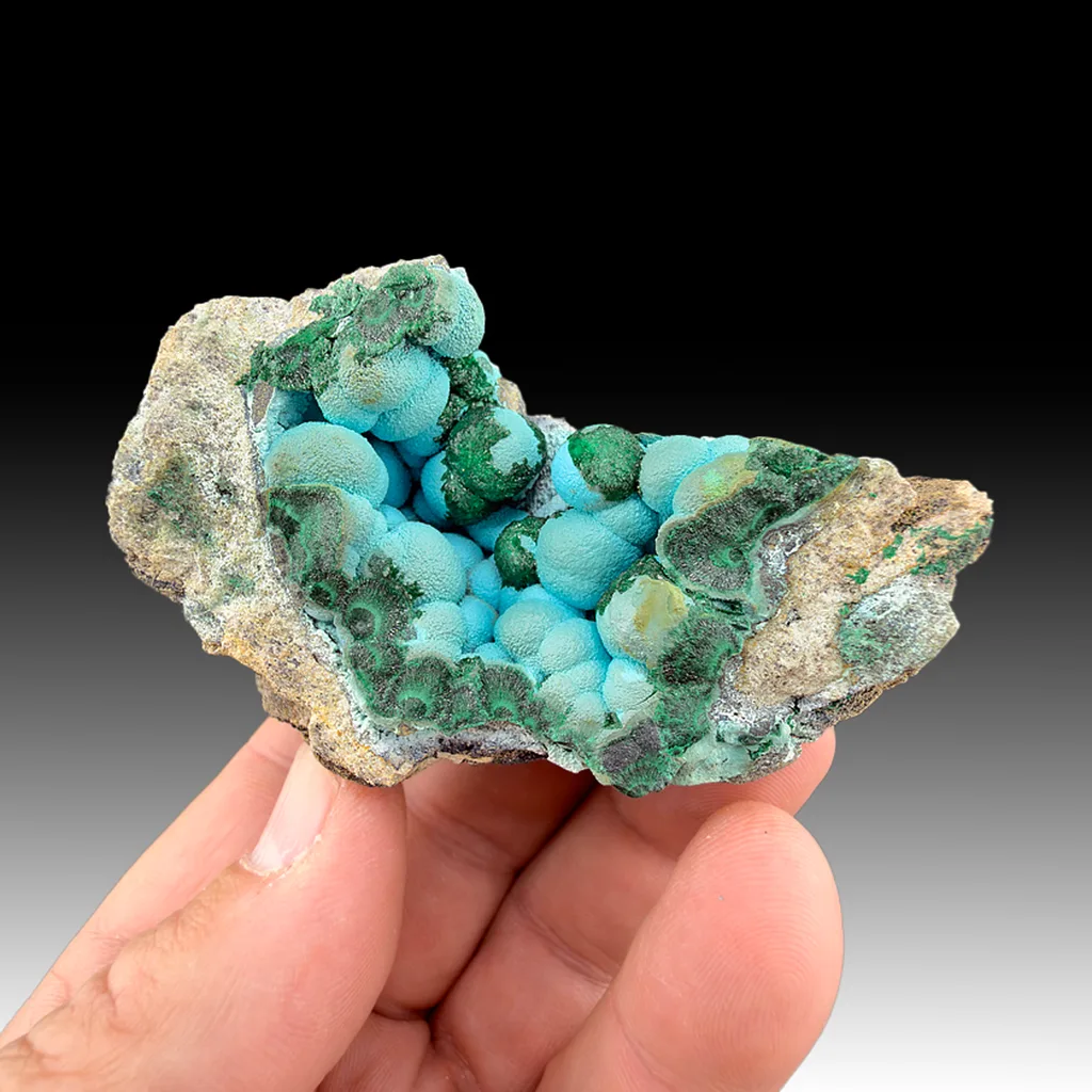 Chrysocolla from L'Etoile du Congo Mine, Lubumbashi, Haut-Katanga, DR Congo - image 1
