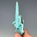 Chrysocolla from Lupoto Mine, Haut-Katanga, DR Congo - image 2