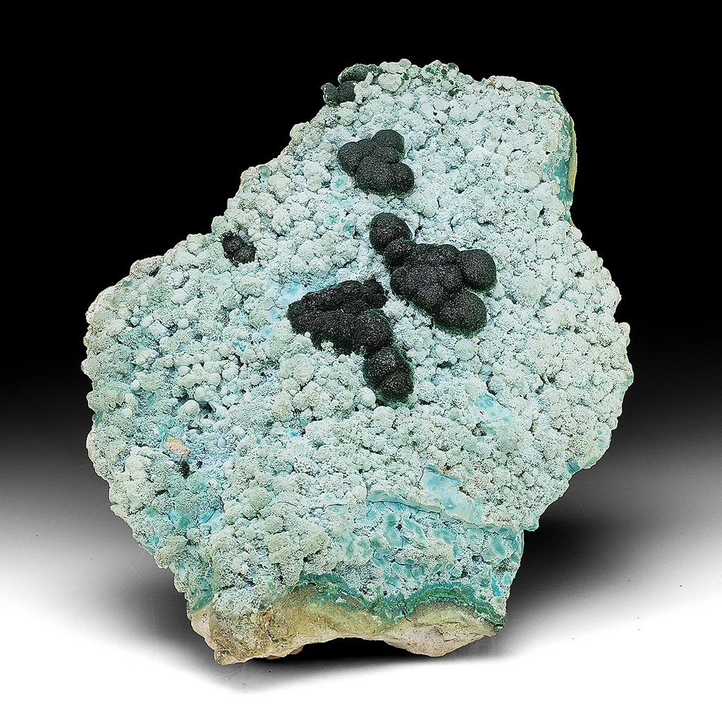 Chrysocolla from Mashamba West Mine, Sicomines copper-cobalt project, Mutshatsha, Lualaba, DR Congo image