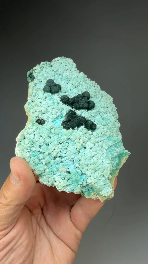 Chrysocolla from Mashamba West Mine, Sicomines copper-cobalt project, Mutshatsha, Lualaba, DR Congo - image 2