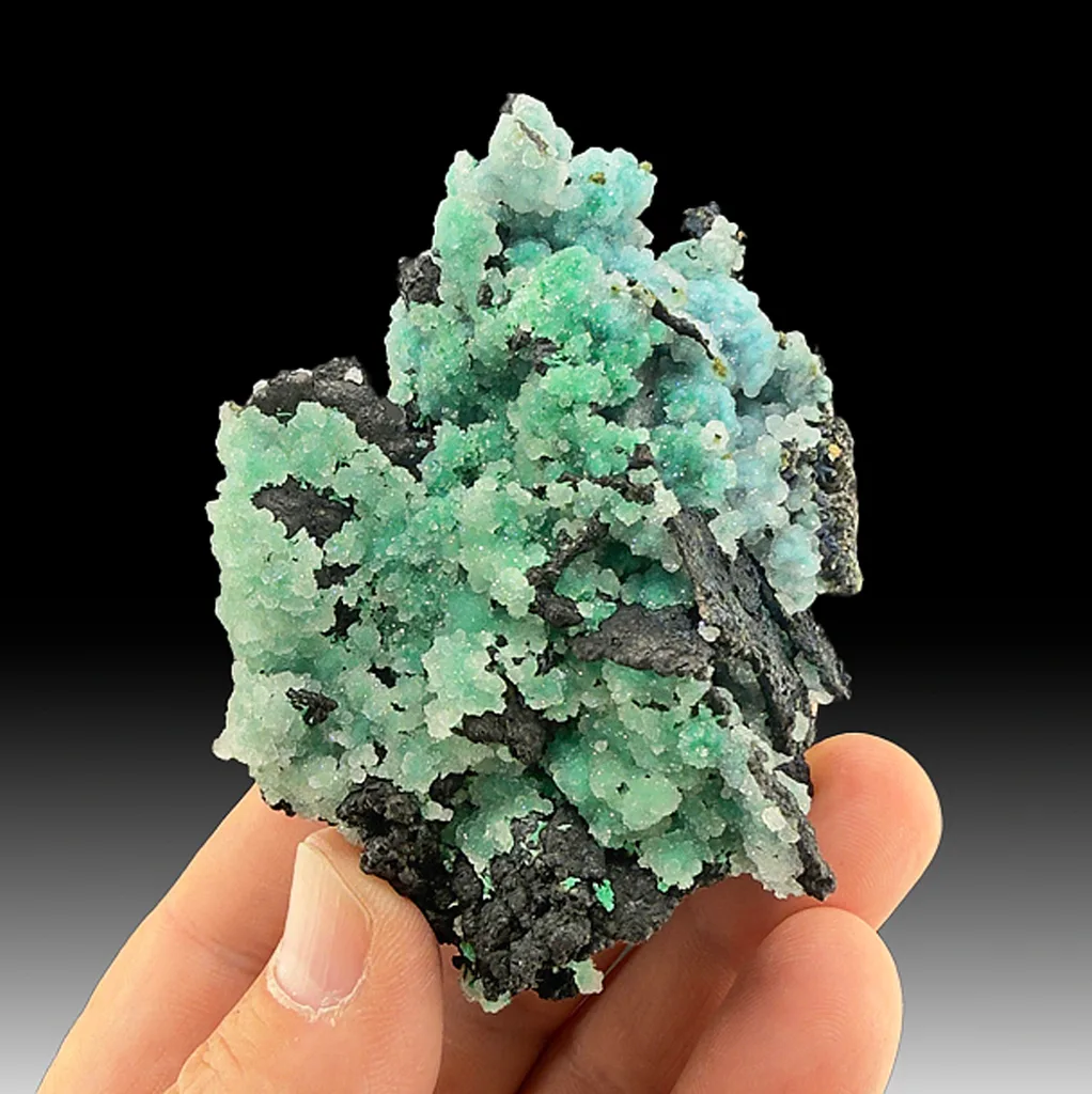 Chrysocolla from Orogrande, New Mexico, USA - image 1