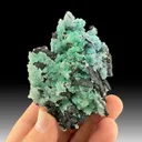 Chrysocolla from Orogrande, New Mexico, USA - image 1