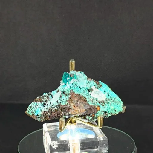 specimen video