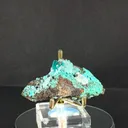 specimen video