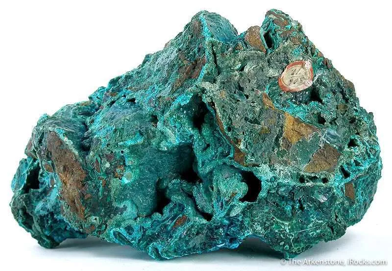 Chrysocolla In Tyrolite With Clinotyrolite image
