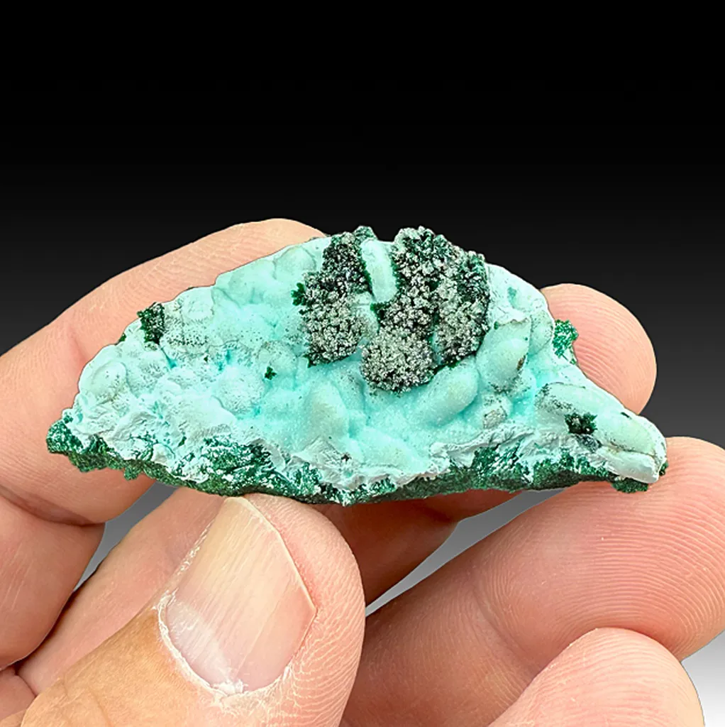 Chrysocolla-Malachite pseudomorphs with Quartz image