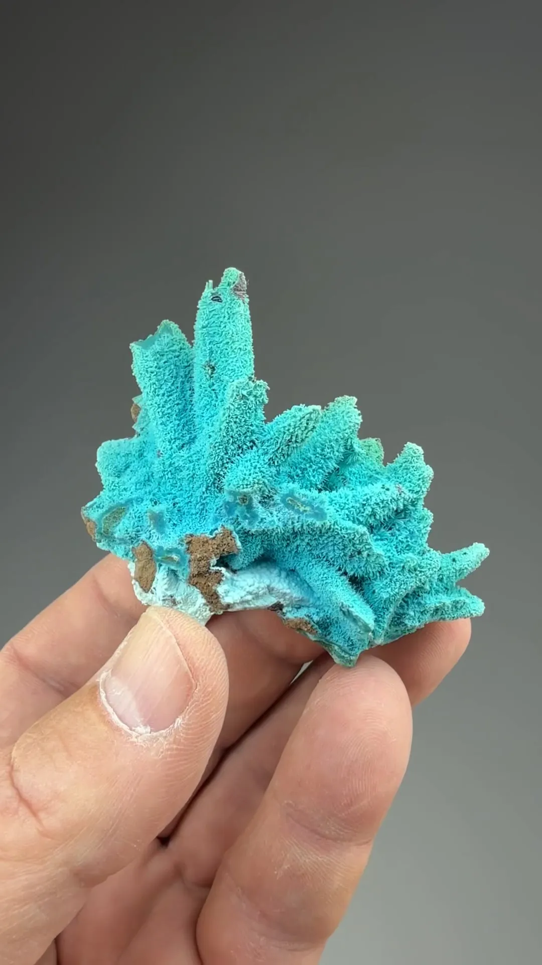 Chrysocolla on Malachite after Azurite - image 2