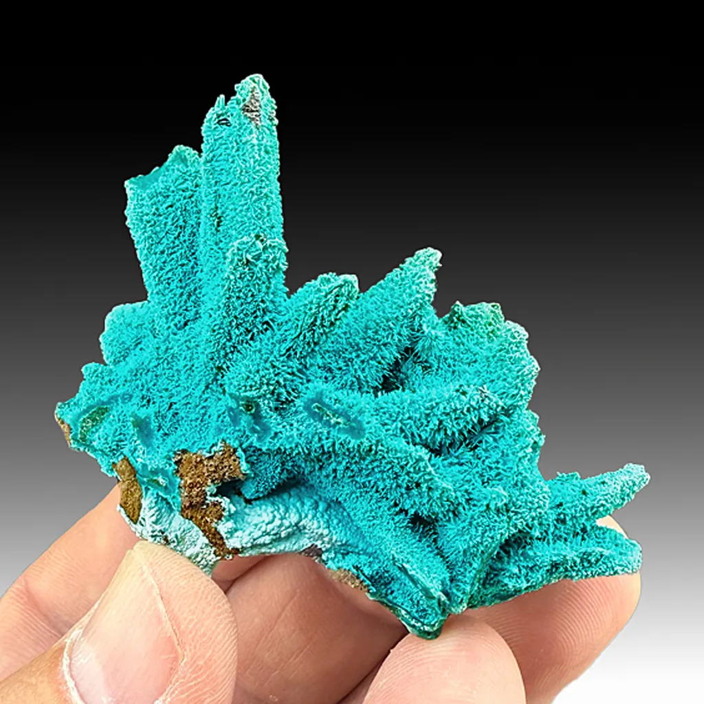 Chrysocolla on Malachite after Azurite image