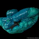 Chrysocolla on Malachite - image 5