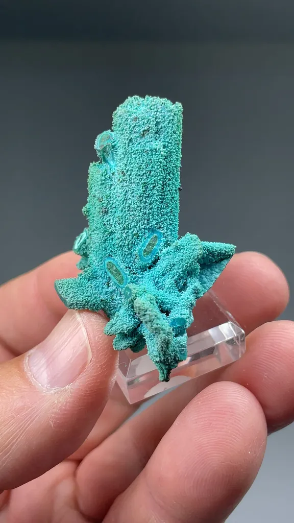 Chrysocolla on Malachite pseudomorph - image 2