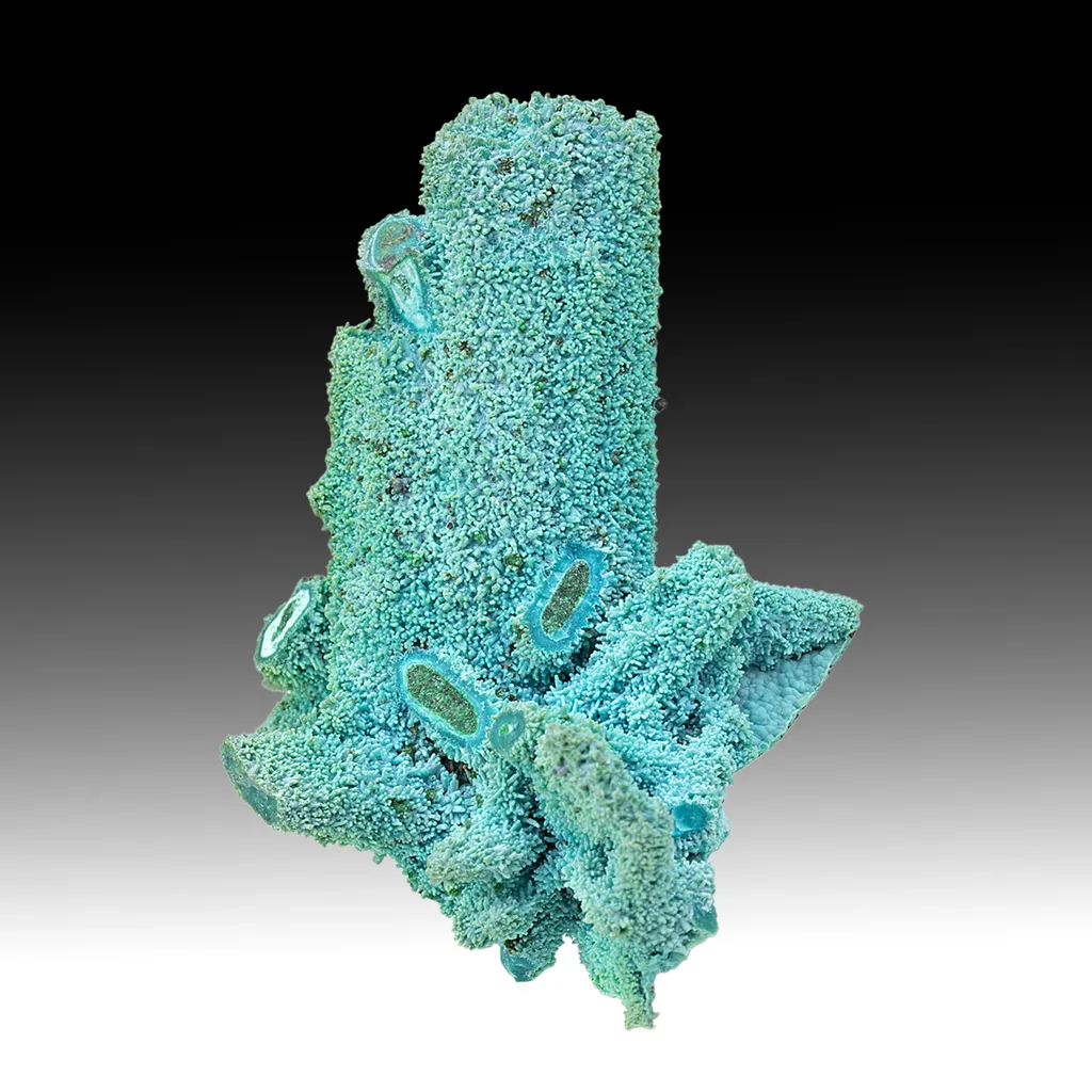 Chrysocolla on Malachite pseudomorph image
