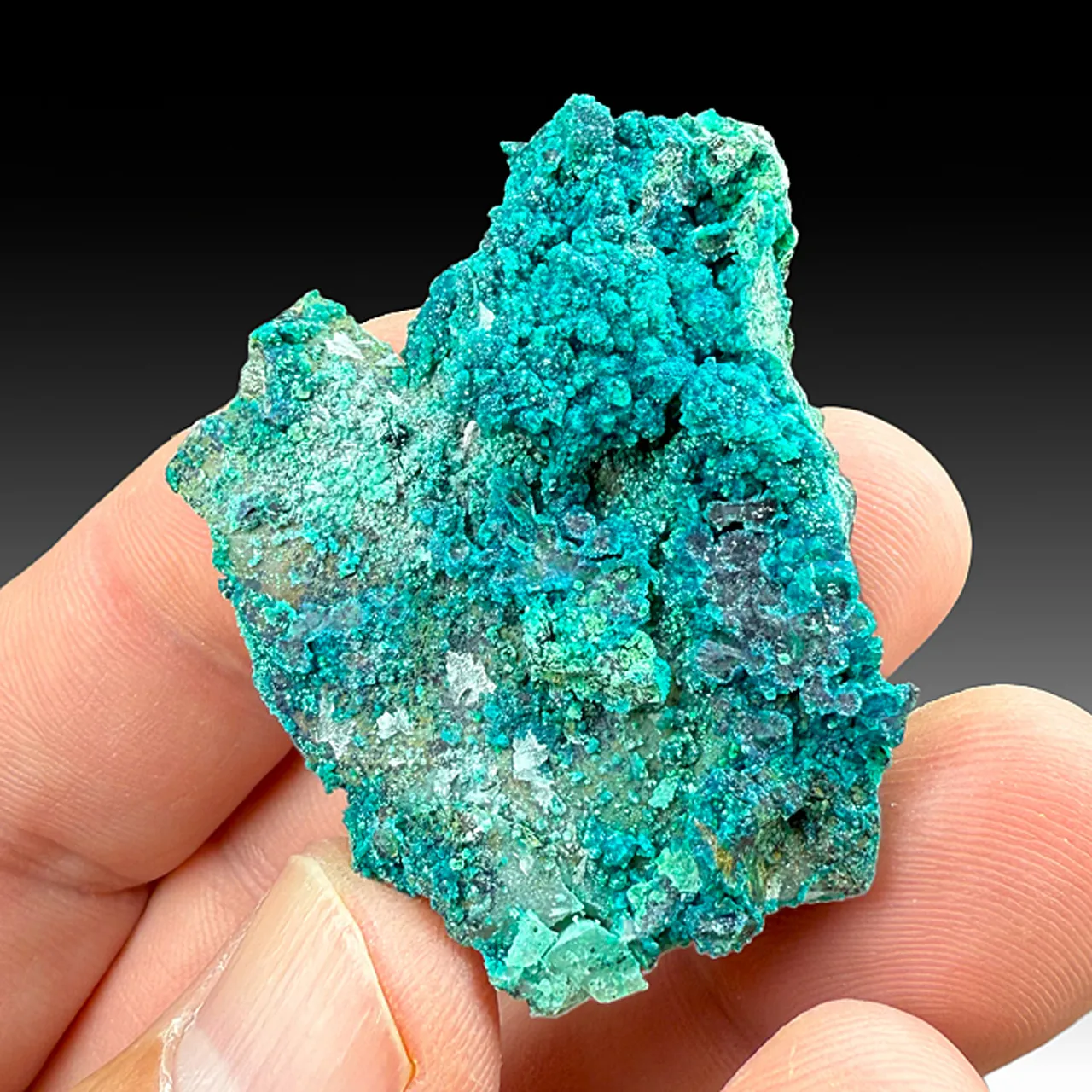 Chrysocolla on Quartz - image 1