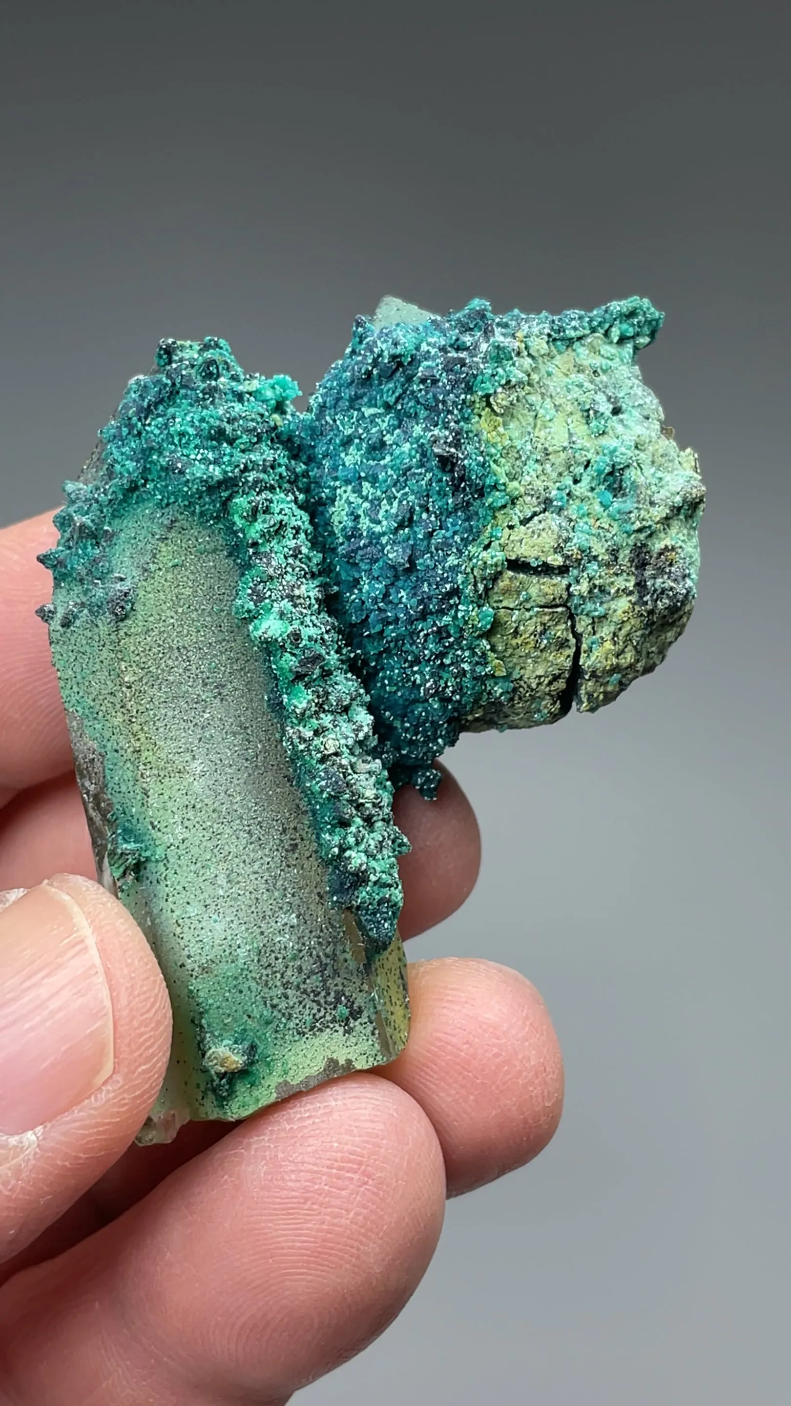 Chrysocolla on Quartz - image 2