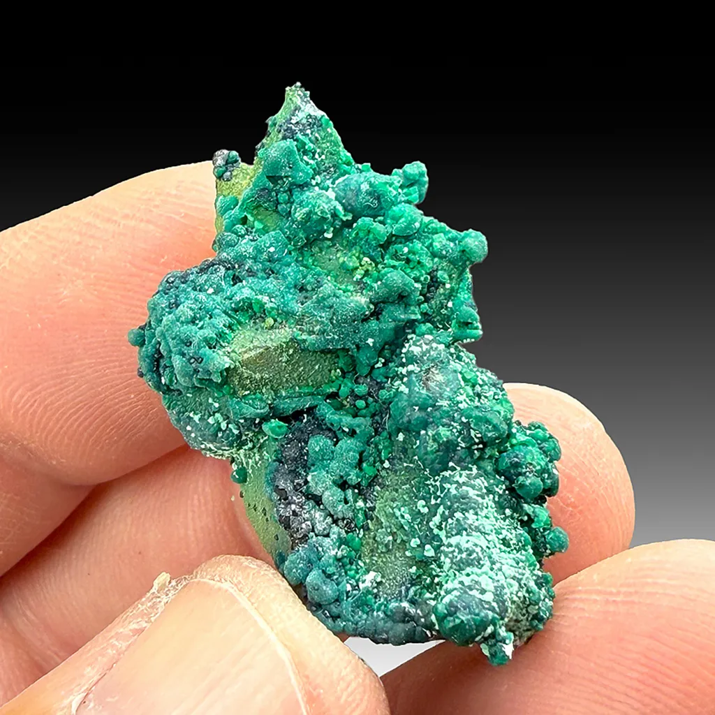 Chrysocolla on Quartz image