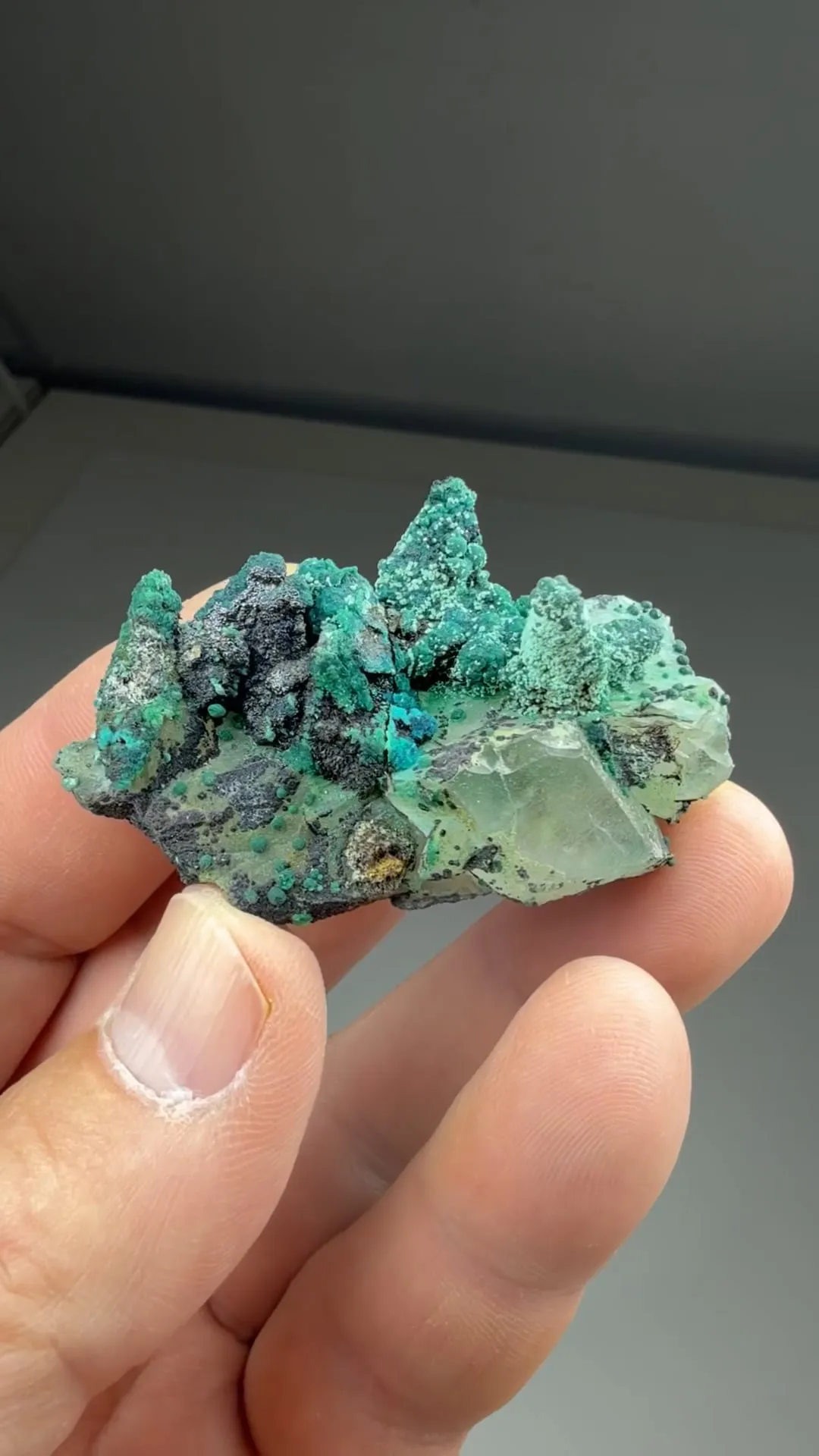 Chrysocolla on Quartz - image 2