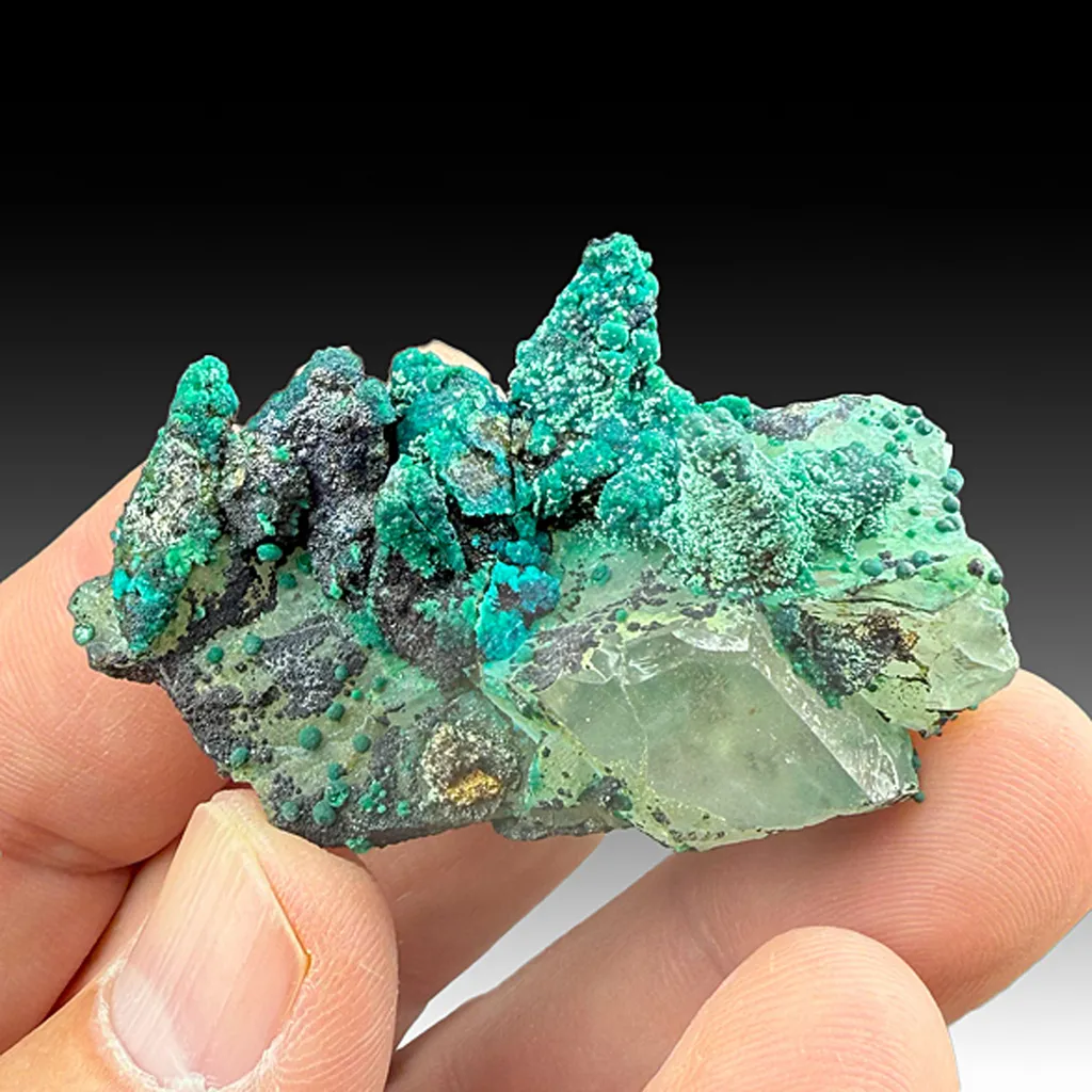 Chrysocolla on Quartz image