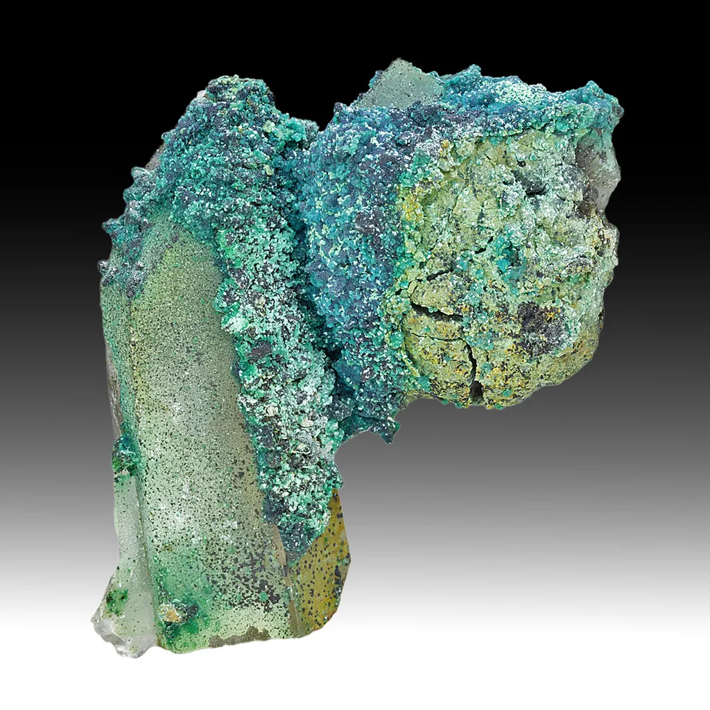 Chrysocolla on Quartz image