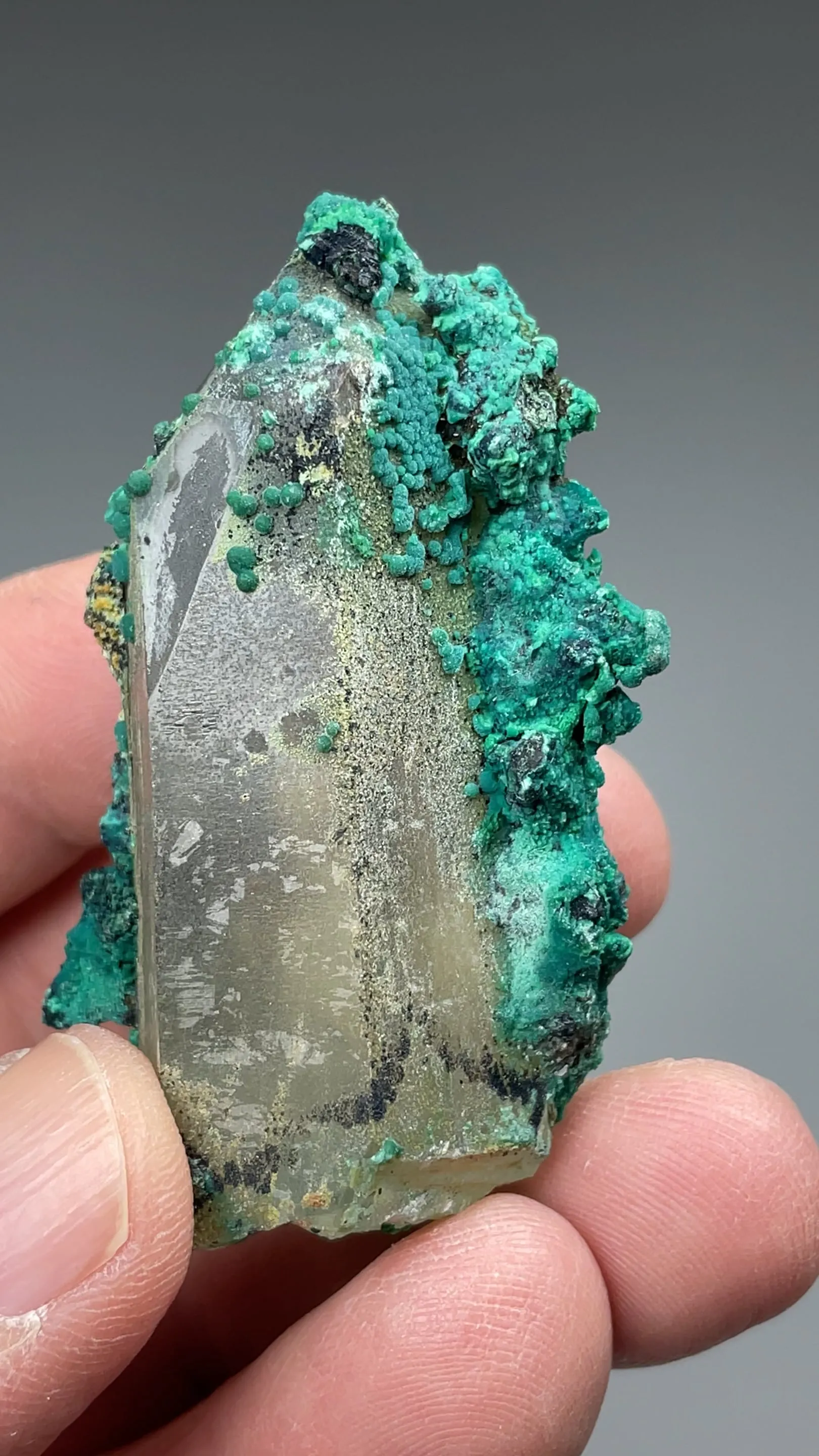 Chrysocolla on Quartz - image 2