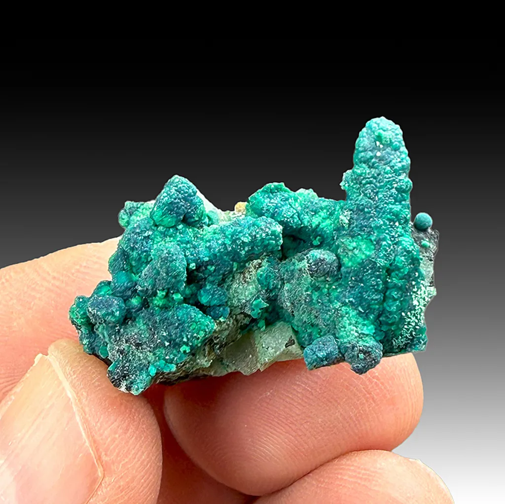 Chrysocolla on Quartz image