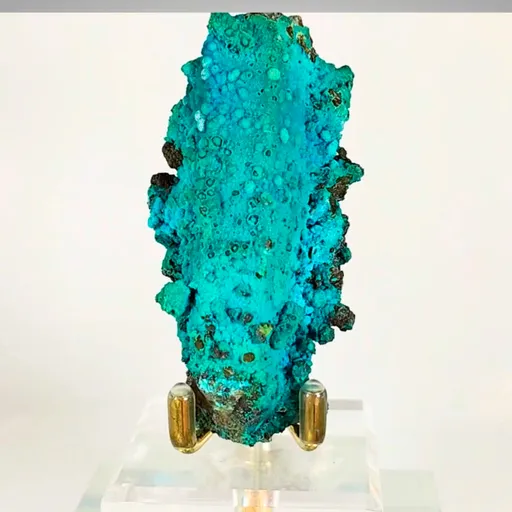 specimen video
