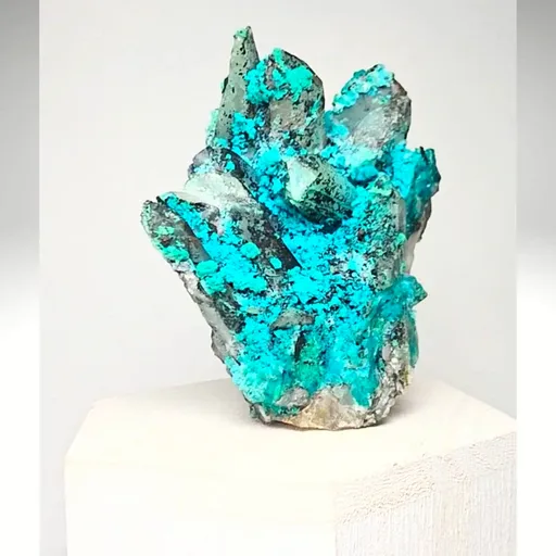 specimen video