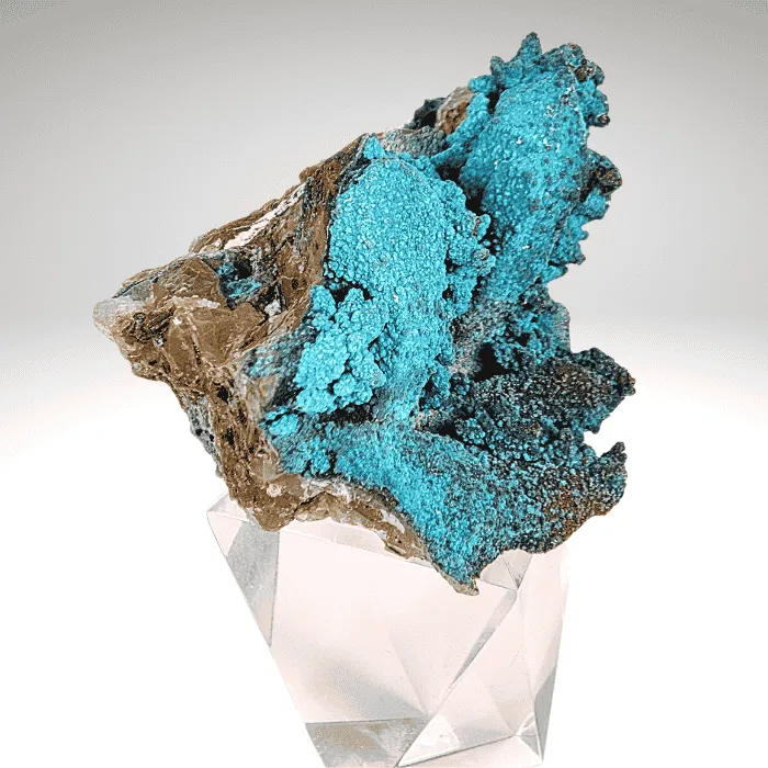 Chrysocolla on Quartz Tentadora Mine - image 3