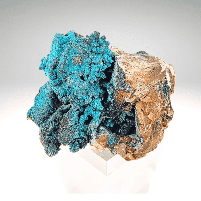 Chrysocolla on Quartz Tentadora Mine - image 4