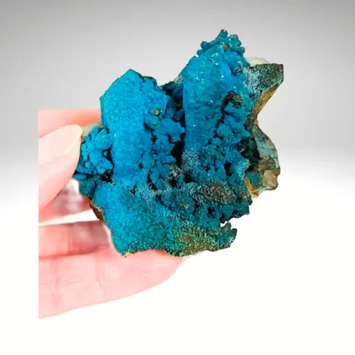 specimen video