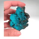Chrysocolla on Quartz Tentadora Mine - image 2