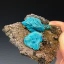Chrysocolla Ps. after Malachite - image 2