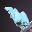 Chrysocolla ps. after Malachite ps. after Azurite with Quartz - image 2