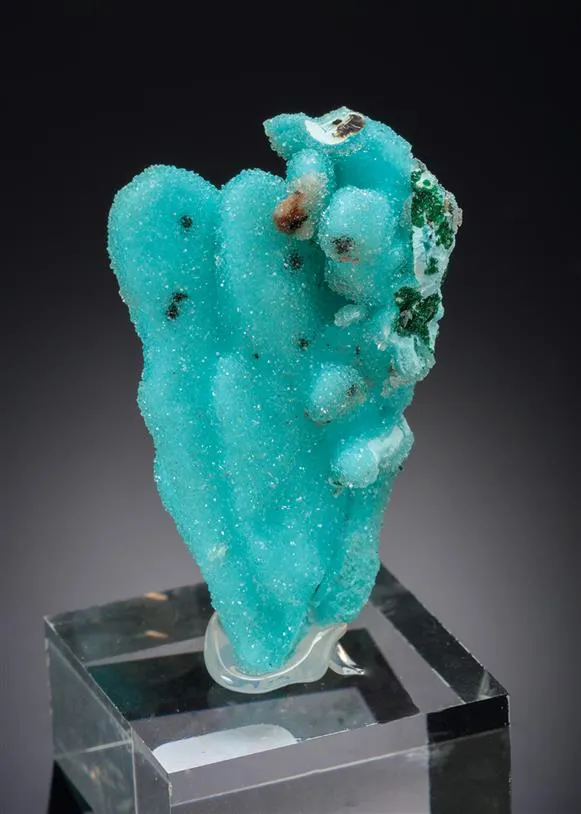 Chrysocolla ps. after Malachite ps. after Azurite with Quartz image