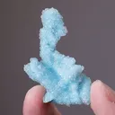 Chrysocolla ps. after Malachite ps. after Azurite with Quartz - image 2