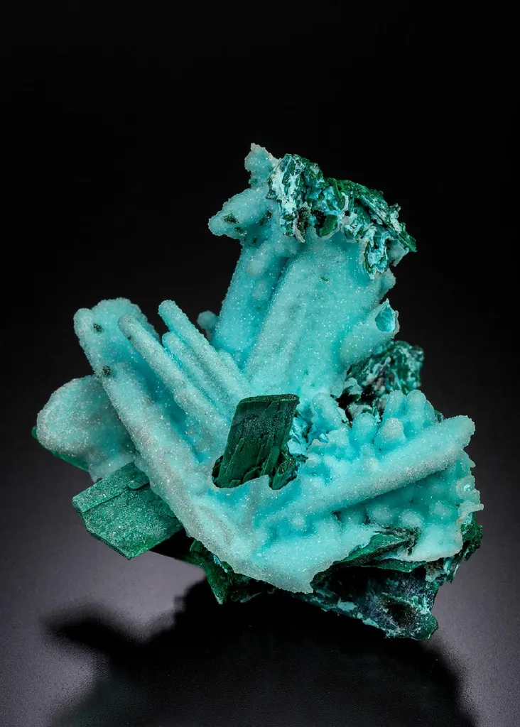 Chrysocolla ps. after Malachite ps. after Azurite with Quartz image