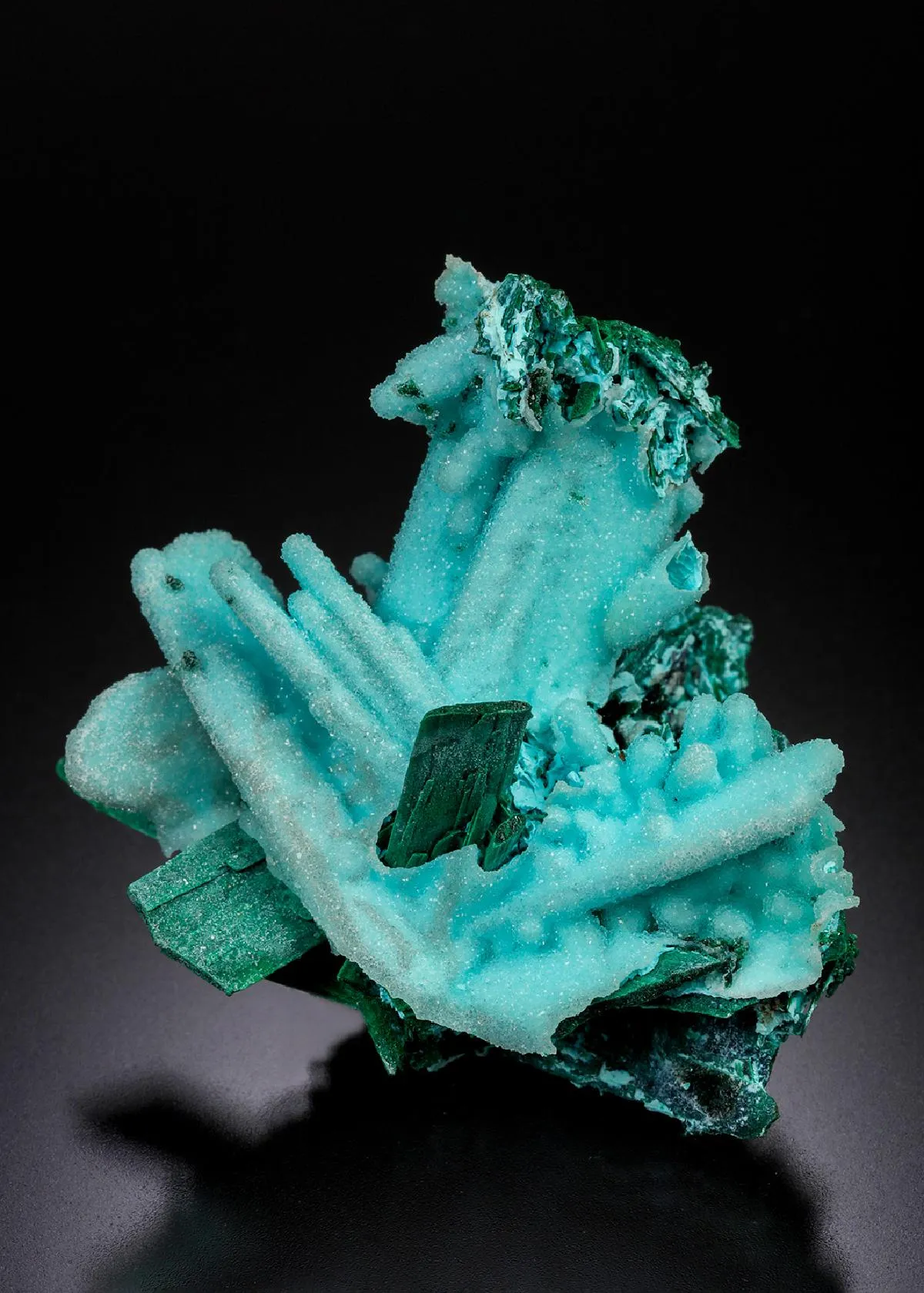 Chrysocolla ps. after Malachite ps. after Azurite with Quartz - image 1