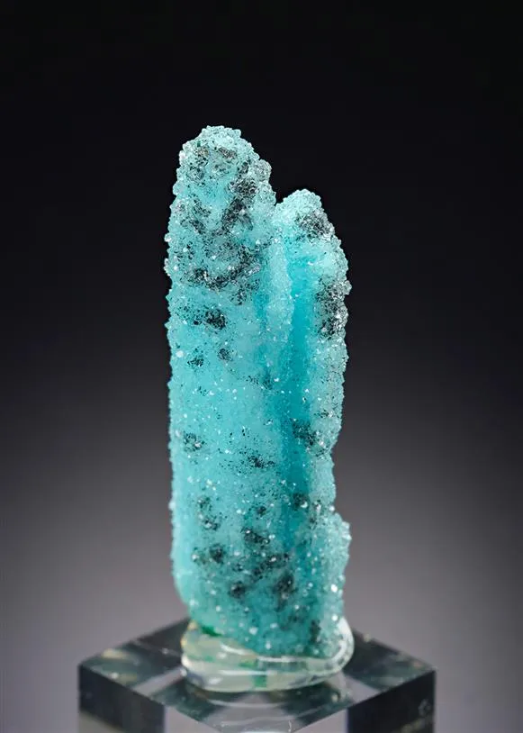 Chrysocolla ps. after Malachite ps. after Azurite with Quartz image