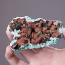 Chrysocolla ps. after Malachite ps. after Azurite with Quartz - image 2