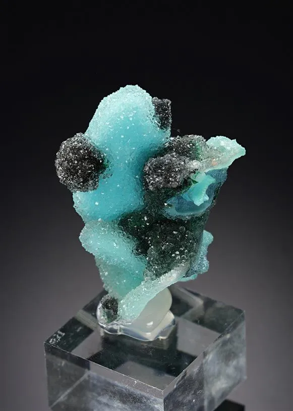 Chrysocolla ps. after Malachite ps. after Azurite with Quartz image