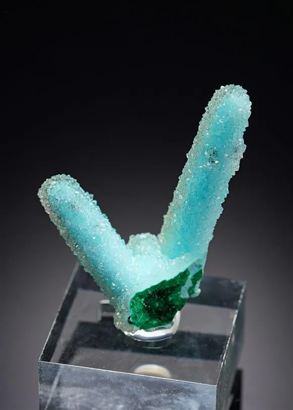 Chrysocolla ps. after Malachite ps. after Azurite with Quartz - image 1