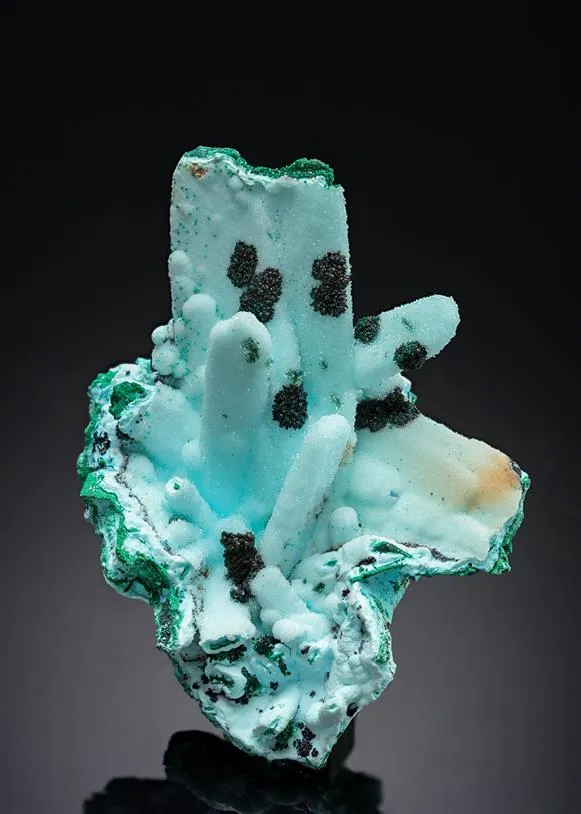 Chrysocolla ps. after Malachite ps. after Azurite with Quartz - image 1
