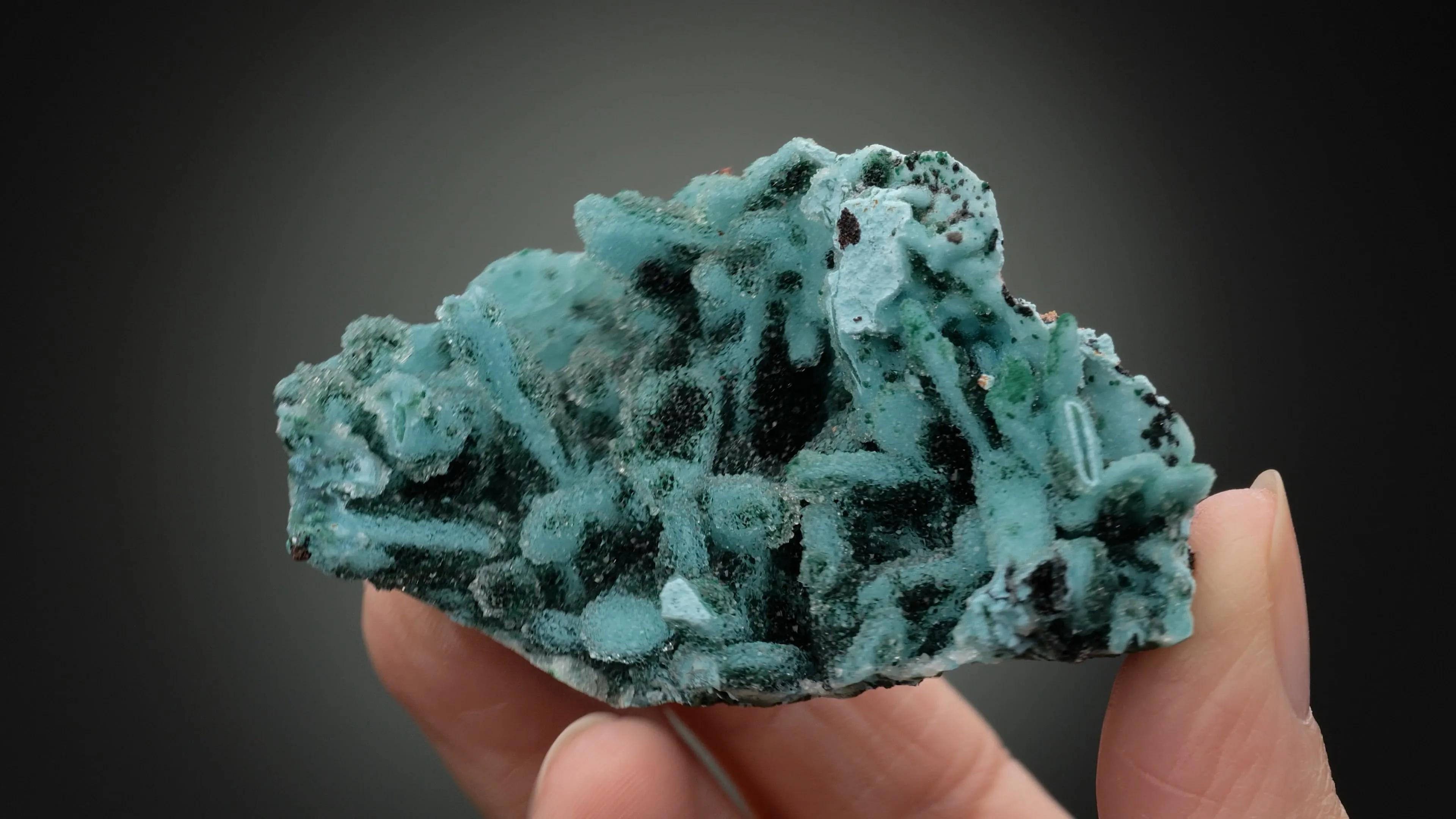 Chrysocolla ps. after Malachite with Quartz and Malachite - image 2