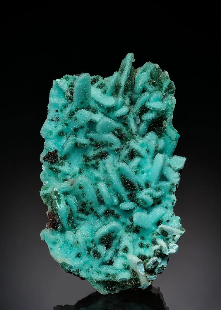 Chrysocolla ps. after Malachite with Quartz and Malachite image