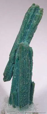 Chrysocolla Ps. After Selenite image