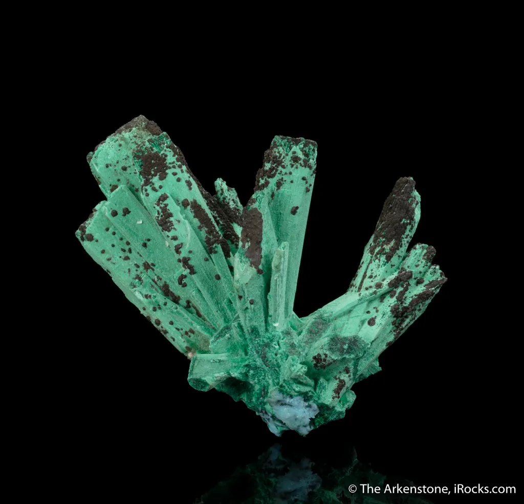 Chrysocolla ps. Gypsum image