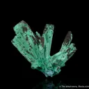 Chrysocolla ps. Gypsum - image 1
