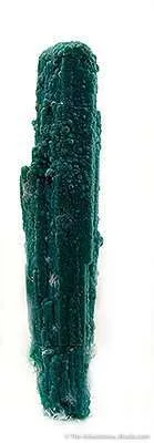 Chrysocolla Ps. Gypsum image