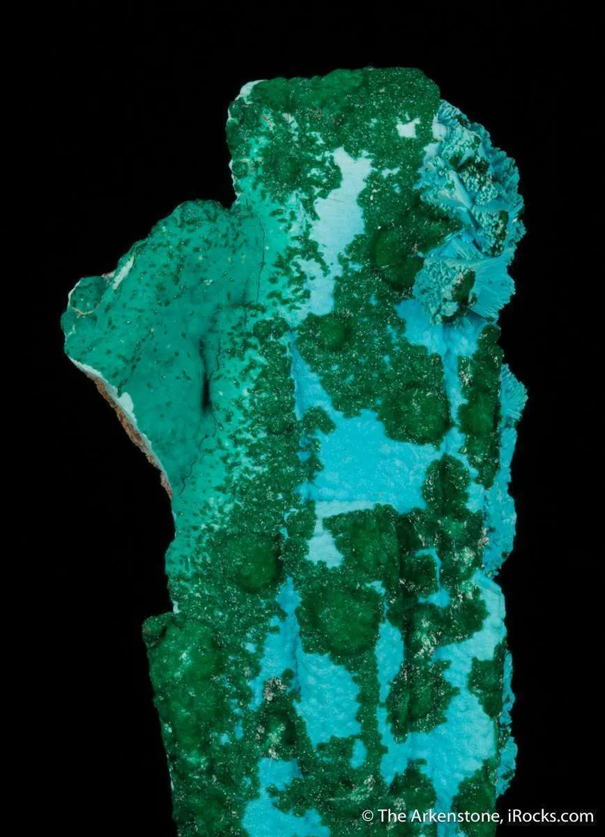 Chrysocolla ps. Gypsum, with Malachite - image 2