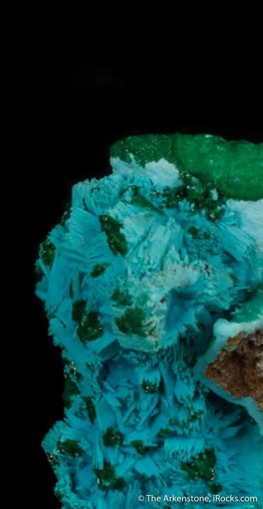 Chrysocolla ps. Gypsum, with Malachite - image 6