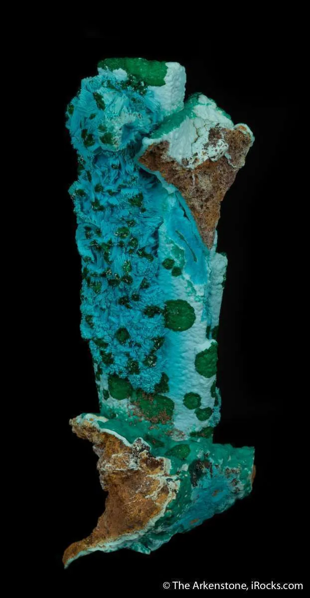 Chrysocolla ps. Gypsum, with Malachite - image 5